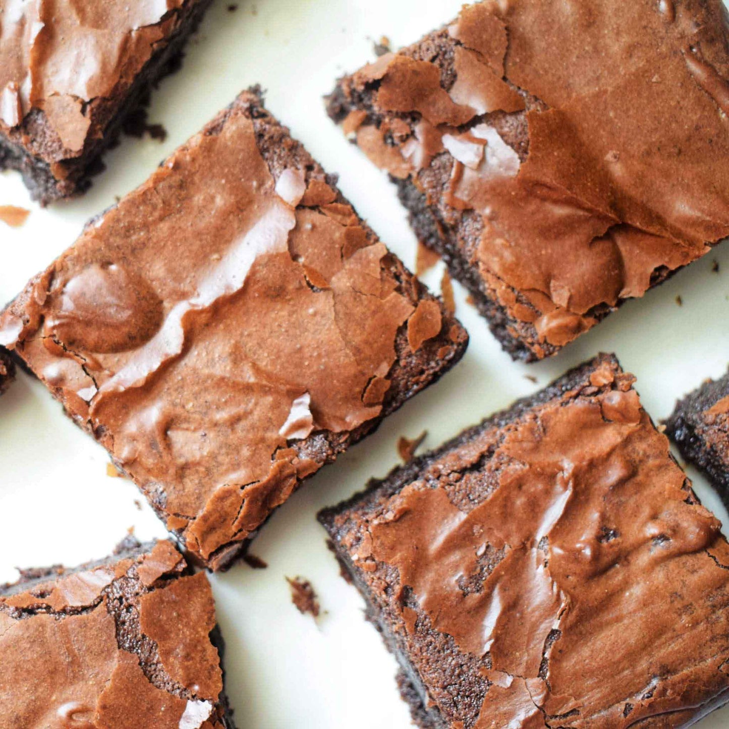 Classic Brownie