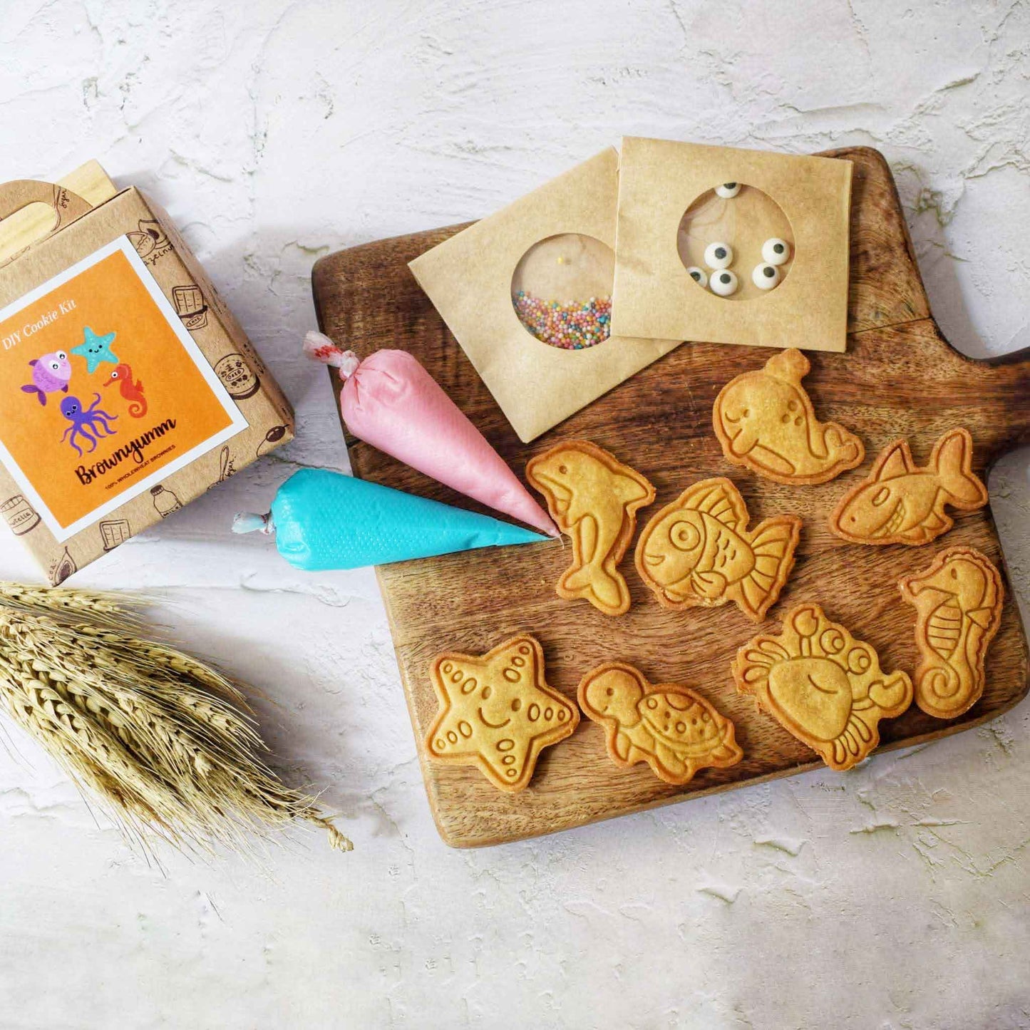 Under the Sea Cookie DIY Kit